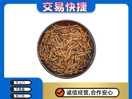 台州回收散虫草